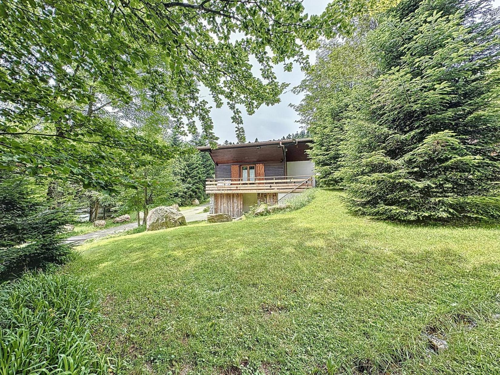 Вилла Le Chalet Des Belles Roches, La Bresse Hohneck Экстерьер фото